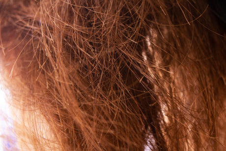 Haarbruch - Tipps für gesunde Haare