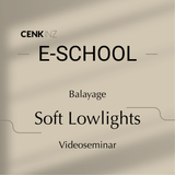 CENKINZ E-School: Soft Lowlights [Digital]