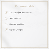 CENKINZ E-School: Lowlights Bundle