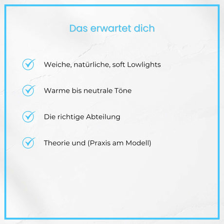 CENKINZ E-School: Soft Lowlights [Digital]
